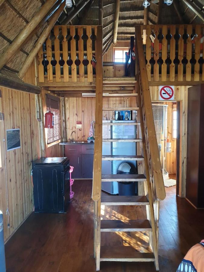 Honne-Pondokkies Hondeklipbaai Exteriör bild