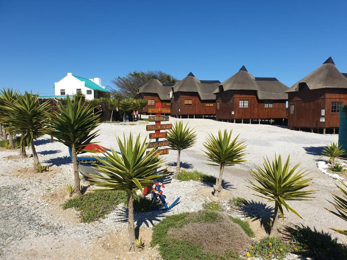 Honne-Pondokkies Hondeklipbaai Exteriör bild