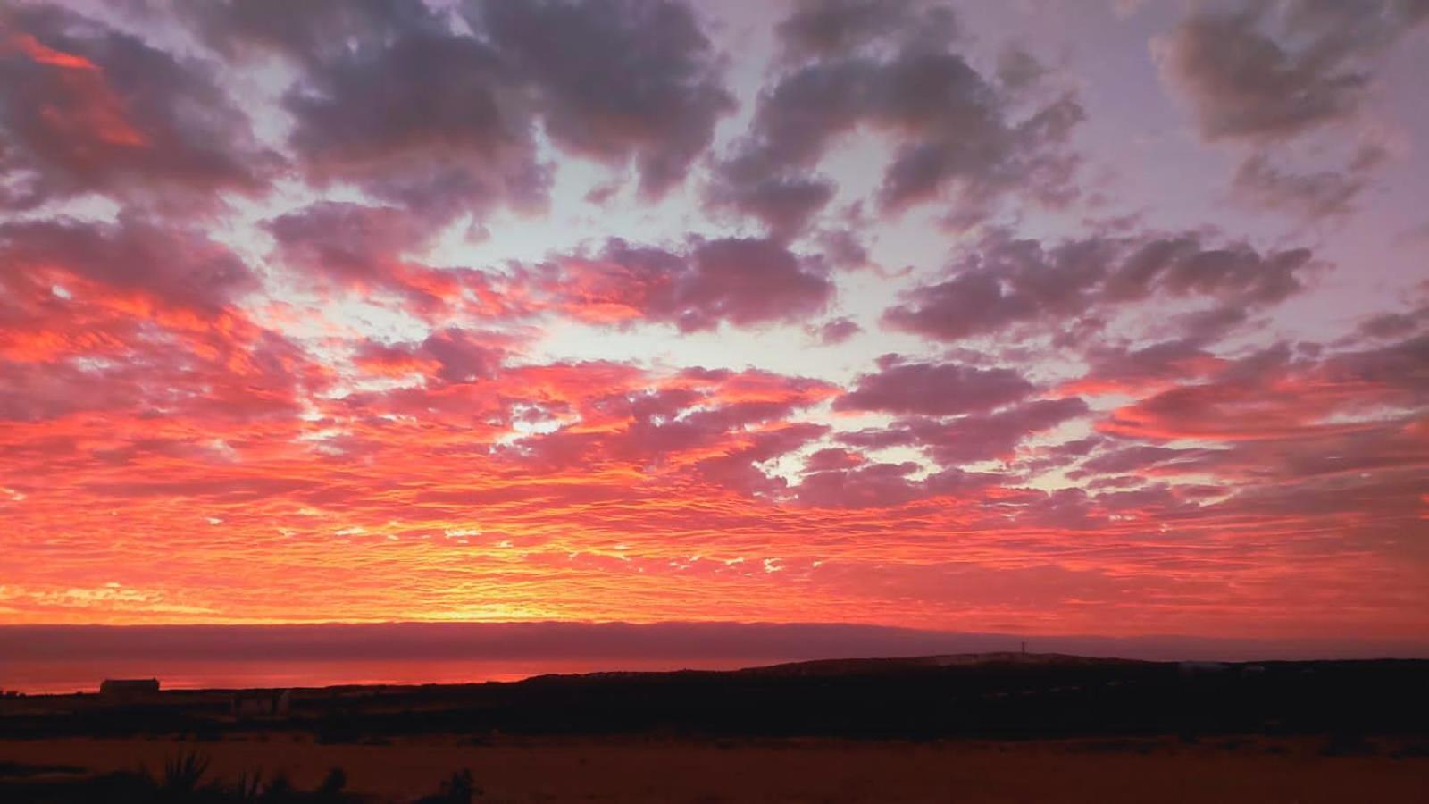 Honne-Pondokkies Hondeklipbaai Exteriör bild