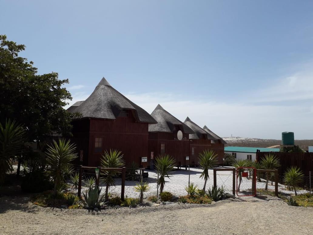 Honne-Pondokkies Hondeklipbaai Exteriör bild