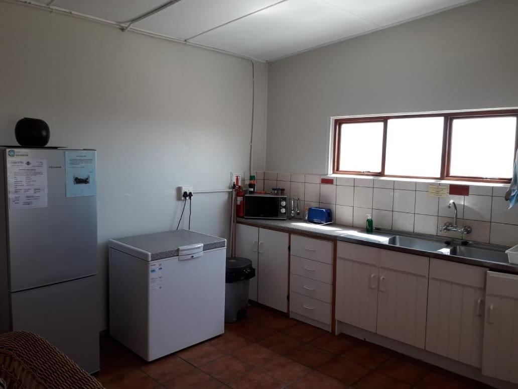 Honne-Pondokkies Hondeklipbaai Exteriör bild