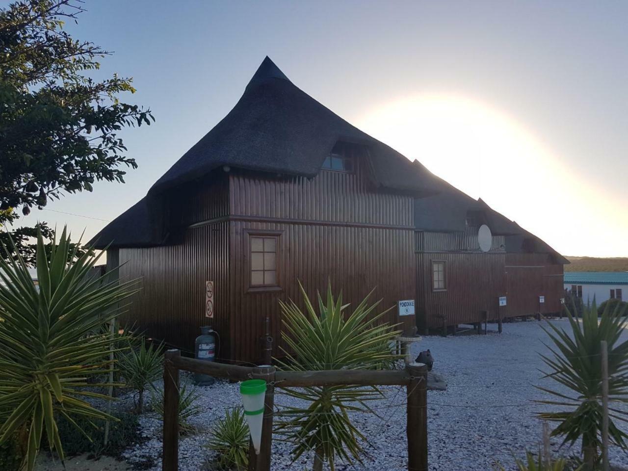 Honne-Pondokkies Hondeklipbaai Exteriör bild
