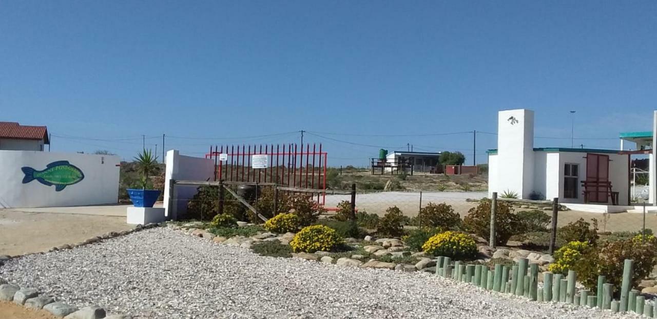 Honne-Pondokkies Hondeklipbaai Exteriör bild