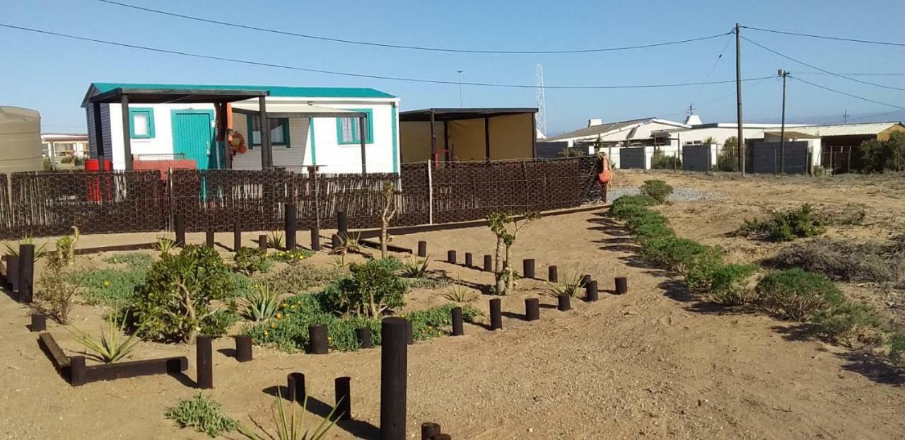 Honne-Pondokkies Hondeklipbaai Exteriör bild