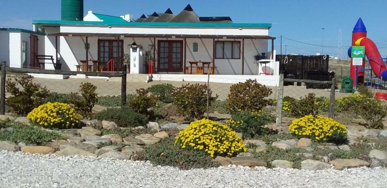 Honne-Pondokkies Hondeklipbaai Exteriör bild