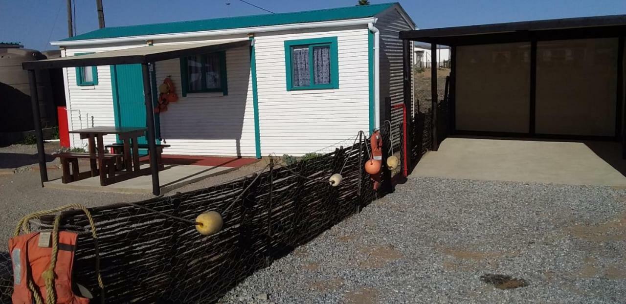 Honne-Pondokkies Hondeklipbaai Exteriör bild